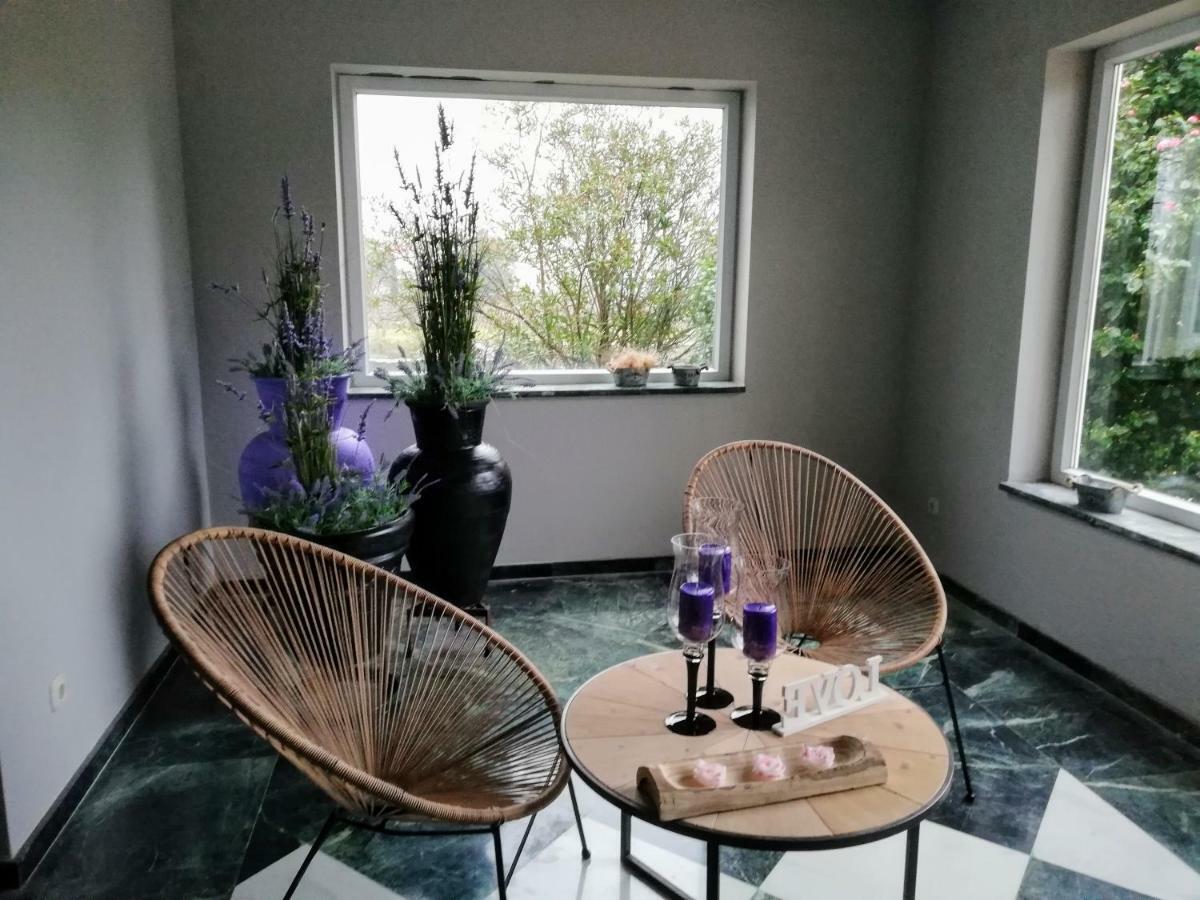 Villa Las Camelias 阿罗萨新镇 外观 照片