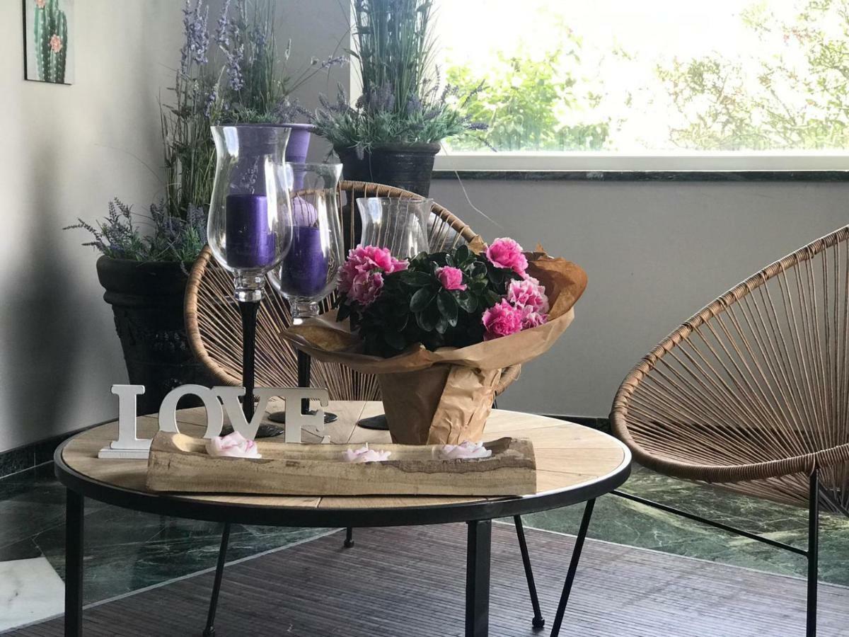 Villa Las Camelias 阿罗萨新镇 外观 照片