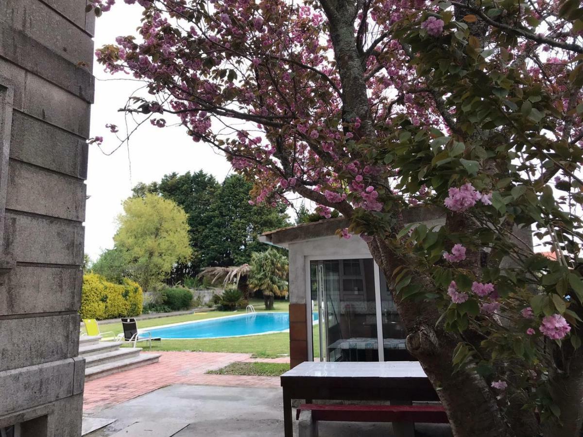 Villa Las Camelias 阿罗萨新镇 外观 照片